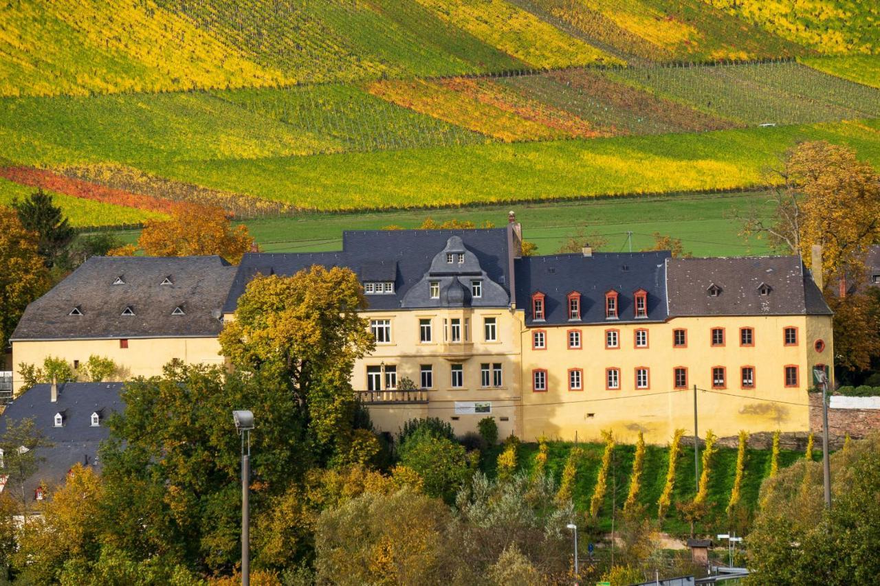Wohnen Auf Dem Weingut - Klein Und Fein - Wengertssube Apartment Maring-Noviand Exterior photo